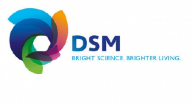 DSM